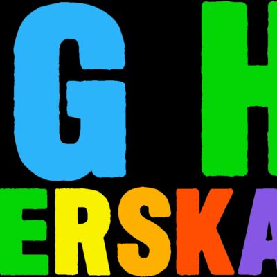 Custom WGHS Roller Skate  Thumbnail